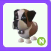 Pet | St Bernard N Neon