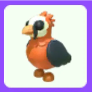 Lammergeier