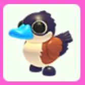 Ruddy Duck