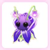 Violet Friend