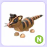 Banded Palm Civet N Neon