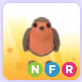 Robin NFR Luminous