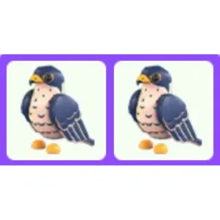 Peregrine Falcon x2