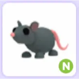 Pet | Rat N Neon