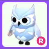 Pet | Snow Owl R
