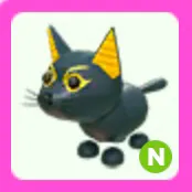 Pet | Neon Abyssinian Cat N