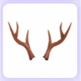 Reindeer Antlers