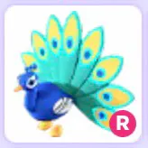 Pet | Peacock R