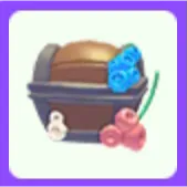 Pet | Hermit Crab Box