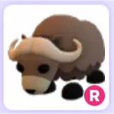 Pet | Musk Ox R