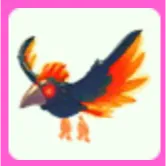 Storm Condor