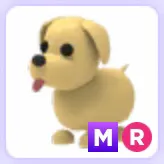 Pet | Mega Dog MR