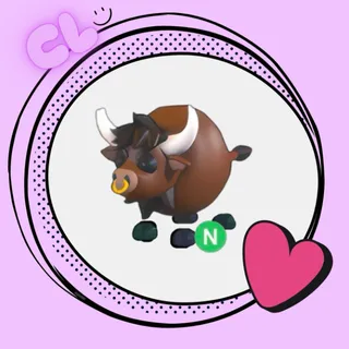 Rodeo Bull N