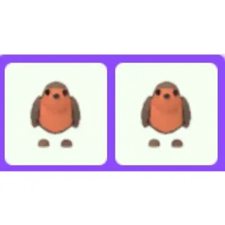Robin x2
