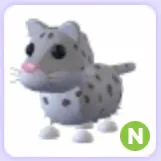 Pet | Snow Leopard N Neon