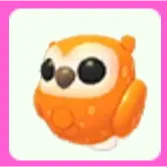 Clementine Owl