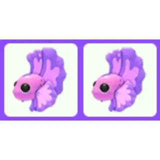 Pink Betta Fish x2