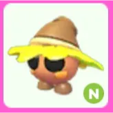 Oakee Wizard N