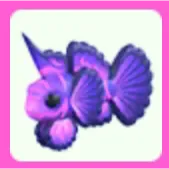 Singularity Pisces