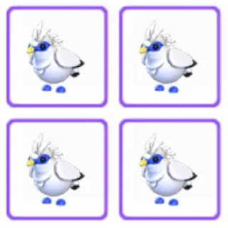 Pet | Bali Starling Bundle x4