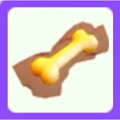 Amber Bone