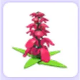 Snapdragon Flower