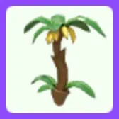 Limited | Banana Tree Pogo Stick