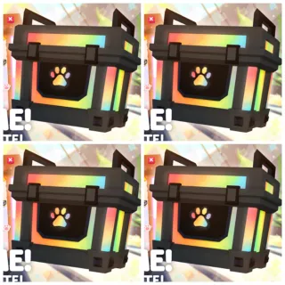 Pet | RGB Box Bundle x4