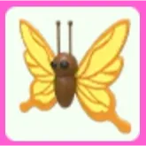 Yellow Butterfly