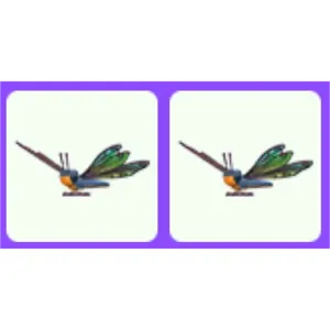 Clubtail Dragonfly x2