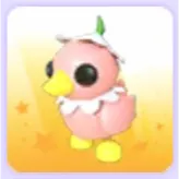 Flower Power Duckling