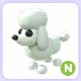 Poodle N