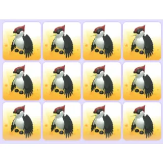 Woodpecker x12 Adopt Me