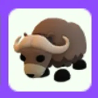Musk Ox