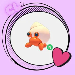 Hermit Crab N