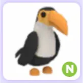 Toucan N