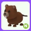 Beaver N