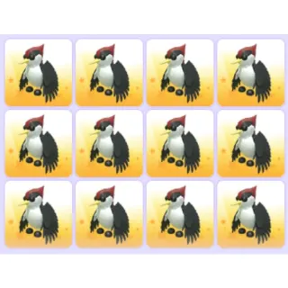 Woodpecker x12 Adopt Me