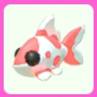 Koi Carp