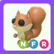 Pet | Red Squirrel NFR Neon