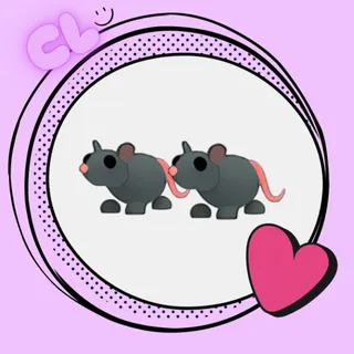 Rat x2