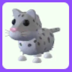 Snow Leopard