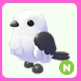 Japanese Snow Fairy N