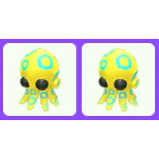 Pet | Blue Ringed Octopus x2