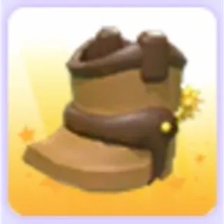 Cowboy Boots