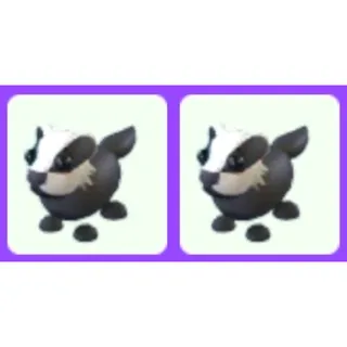 Badger x2