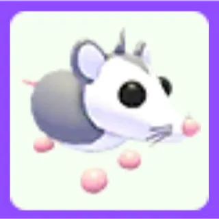 Possum