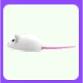 Mouse Chew Toy