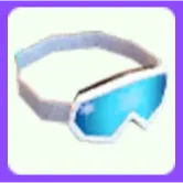 Ski Goggles