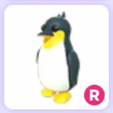 Pet | King Penguin R